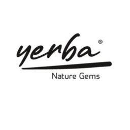Yerba supplements for best energy in Kuwait