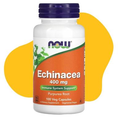 Echinacea 1